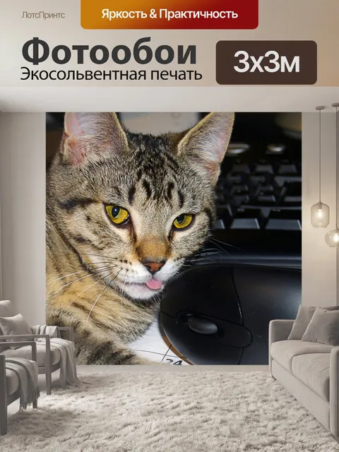 Фотообои Полосатый