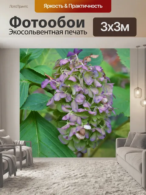 Фотообои Осенняя гортензия