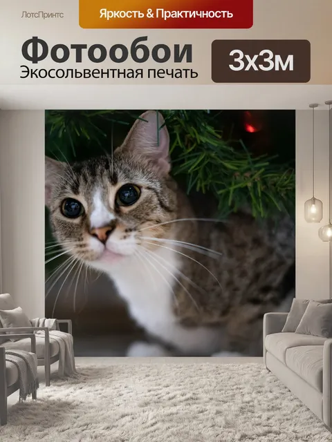 Фотообои Кошка