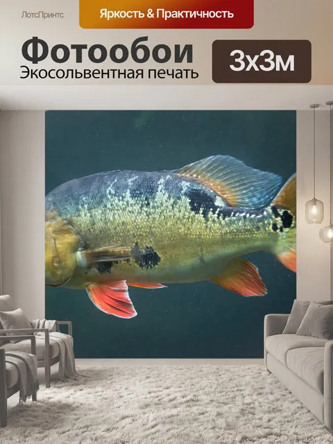 Фотообои Cichla ocellaris fish