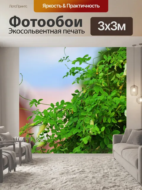 Фотообои Деревья и листья 24