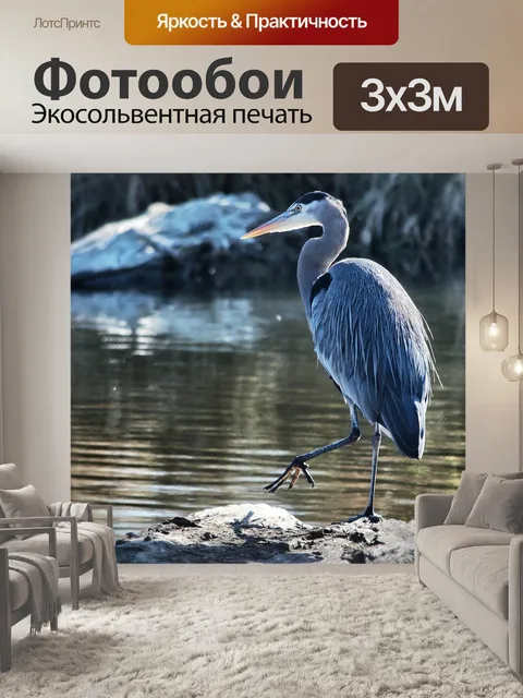 Фотообои Птица