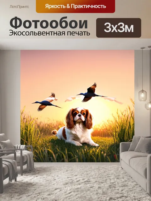 Фотообои на фоне вечернего заката