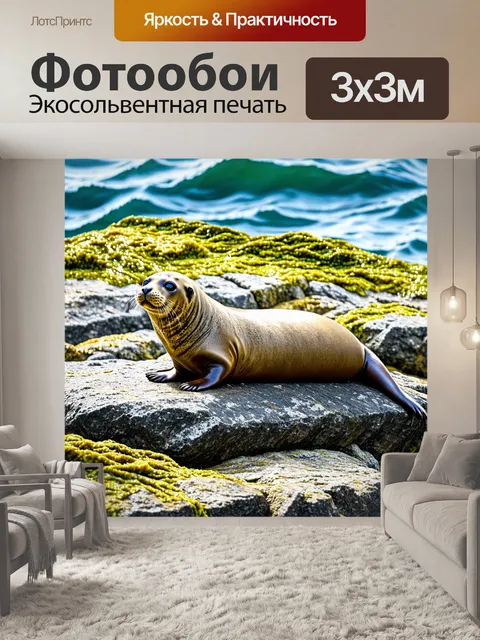 Фотообои тюлень, лежащий на скалистом мысе, с зелеными водорослями вокруг