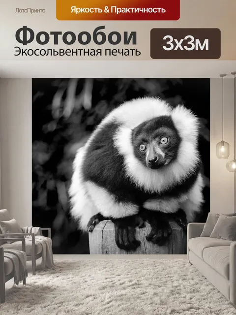 Фотообои Лемур