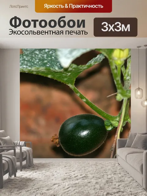 Фотообои зеленый драгоценный камень сквош