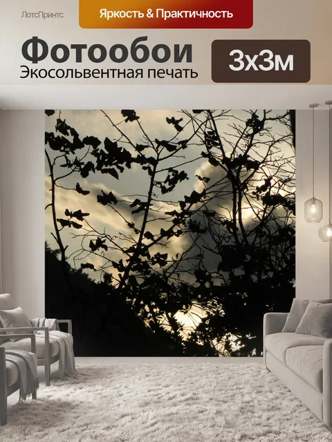 Фотообои Листья