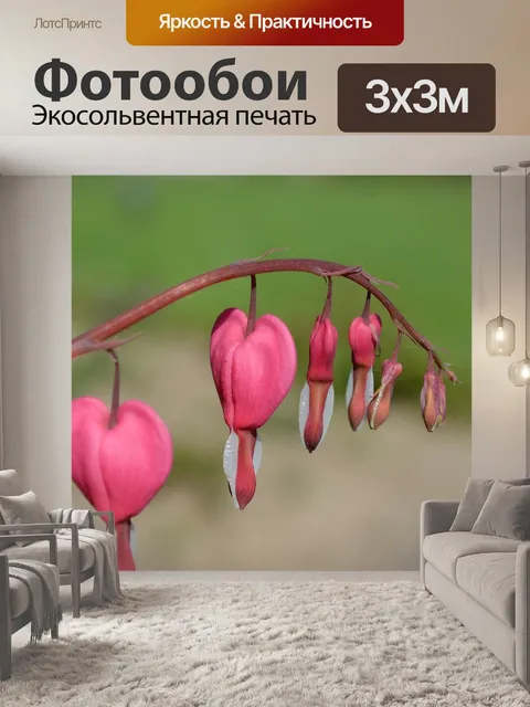Фотообои Плачущее сердце