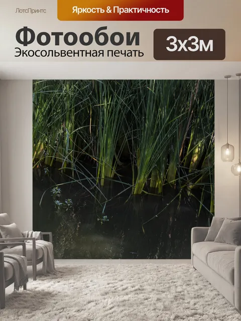 Фотообои Речная трава