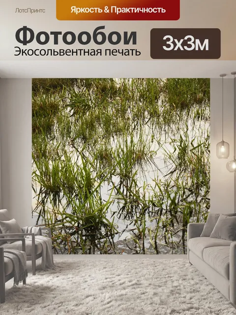 Фотообои зеленые травы стоят в воде