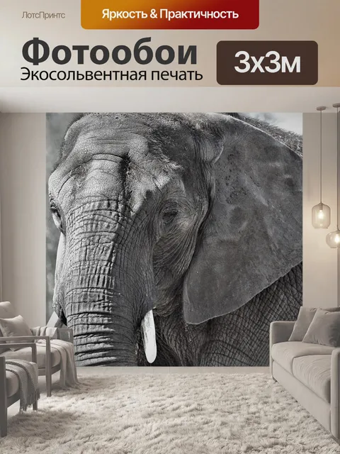 Фотообои Слон