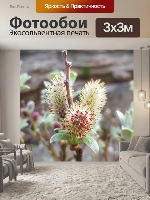 Фотообои Весна