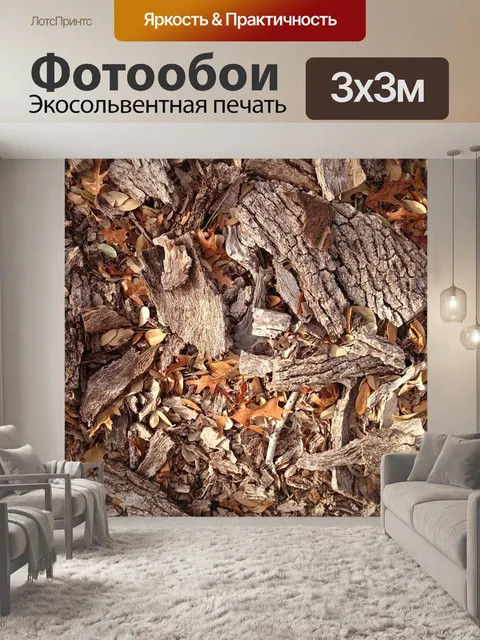 Фотообои Осень