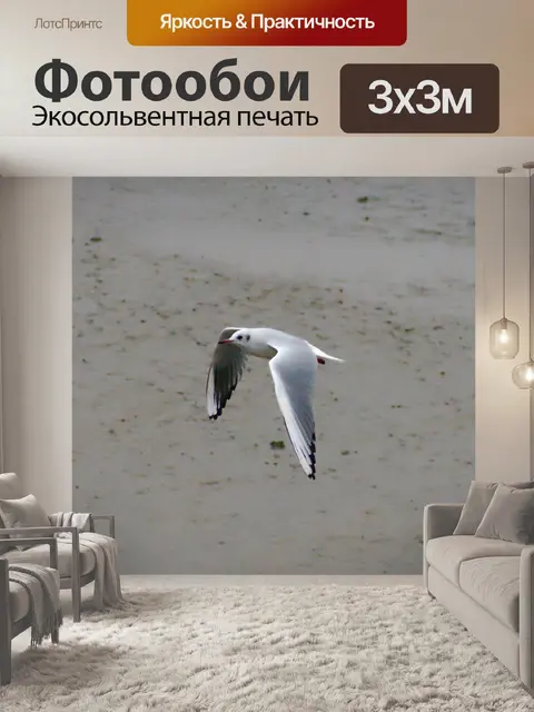 Фотообои Чайка