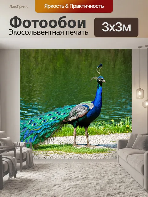 Фотообои павлины на берегу озера