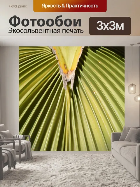 Фотообои Пальмовый лист