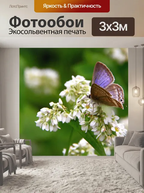 Фотообои Профнастил маленькие серые бабочки