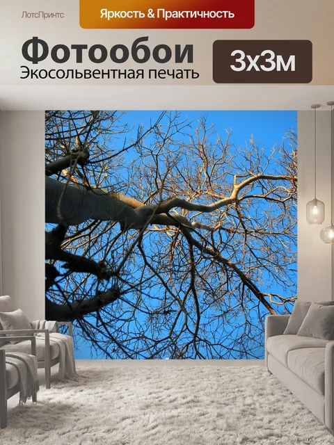 Фотообои голые дерево снизу