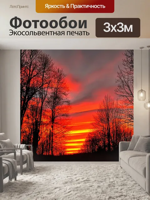 Фотообои осень: закат, окрашивающий небо в оранжевый и красный цвета за деревьями