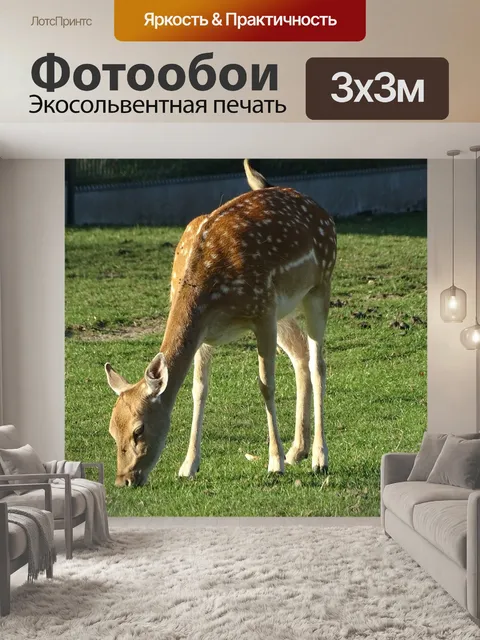 Фотообои Замша
