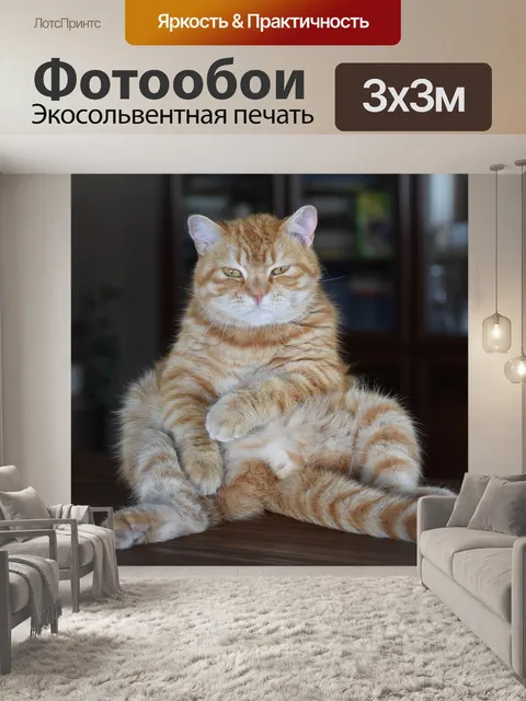 Фотообои Кот