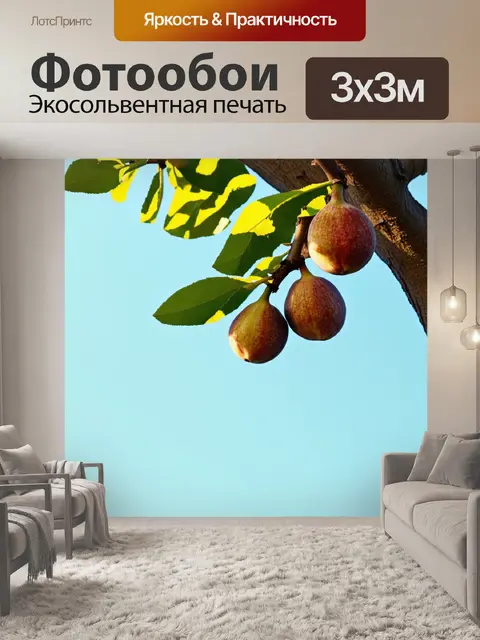 Фотообои на ветвях старого инжирного дерева зрелые инжиры
