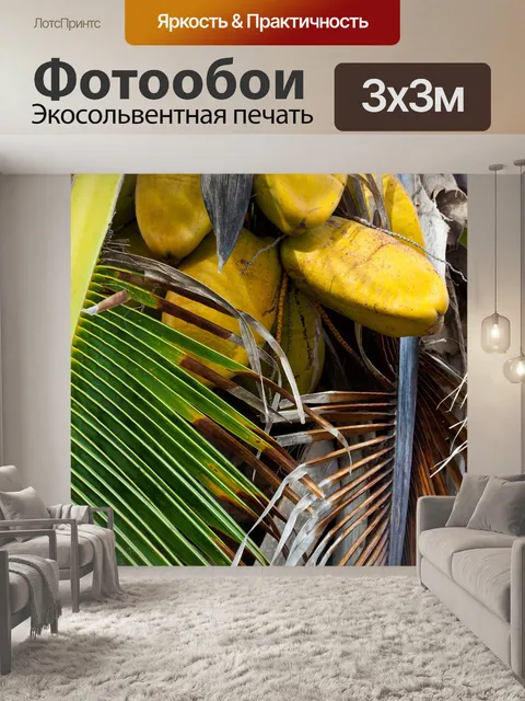 Фотообои кокосы на пальме