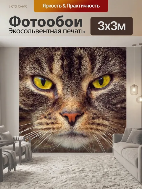 Фотообои Милый кот котенок домашнее животное