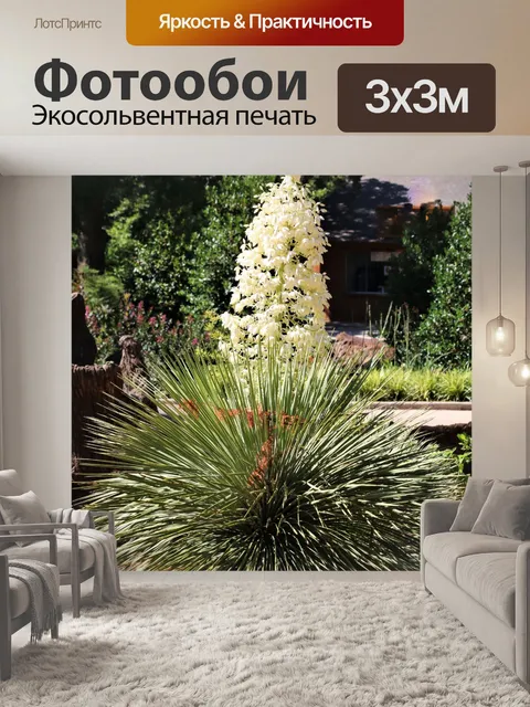 Фотообои Белая юкка в парке