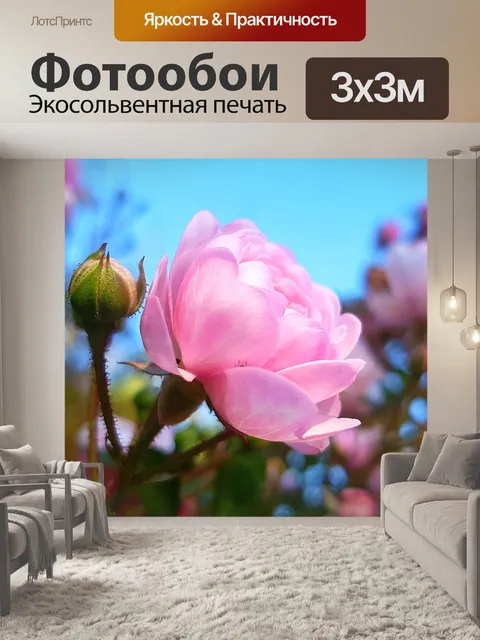Фотообои Роза