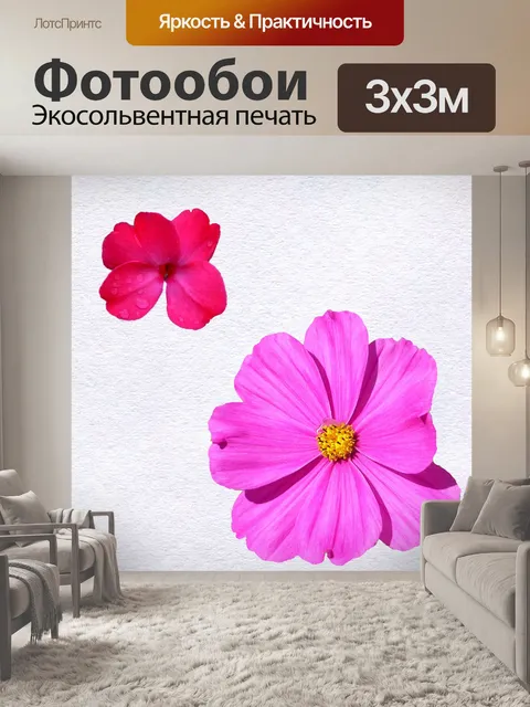 Фотообои Дуэт из розовых цветов