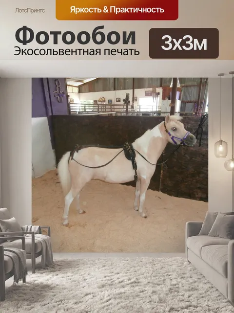 Фотообои Лошадь в упряжке