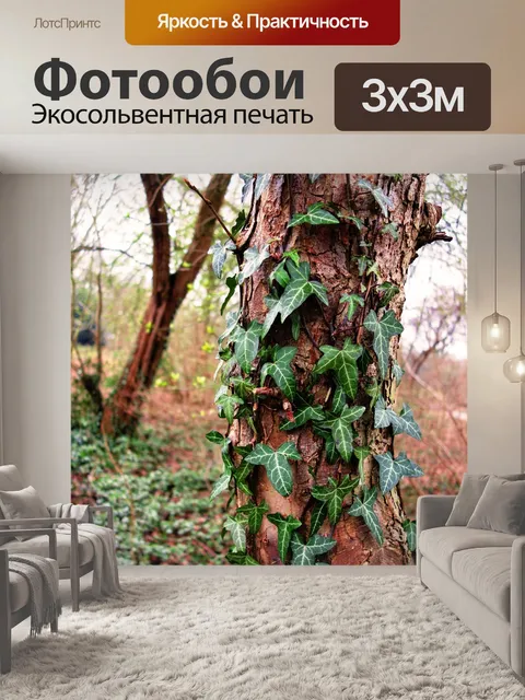 Фотообои Ствол дерева
