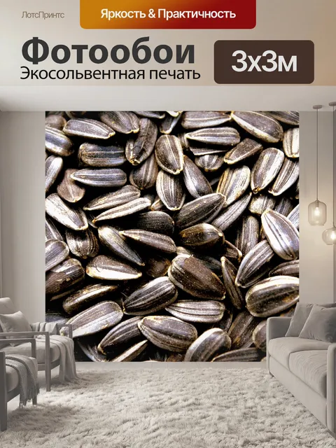 Фотообои Семечки подсолнуха