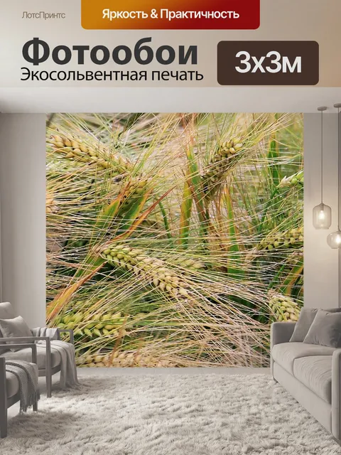 Фотообои Пшеница