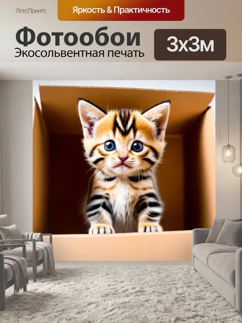 Фотообои котенок, исследующий мир в боксе
