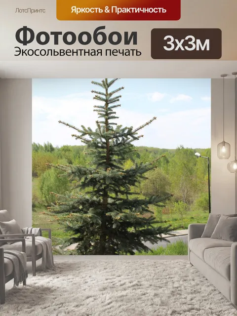 Фотообои Весна в саду