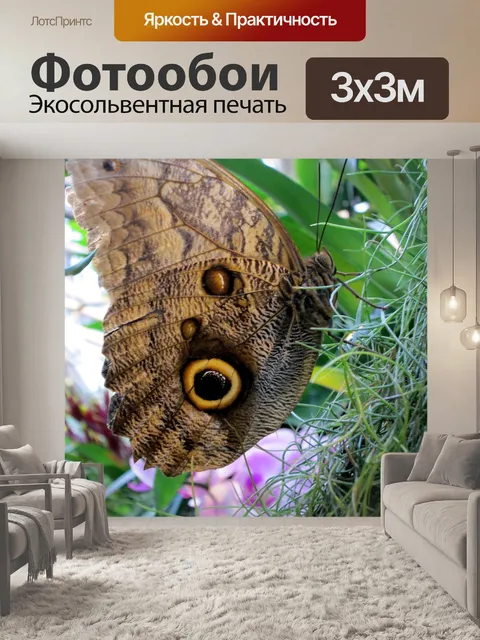Фотообои Бабочка