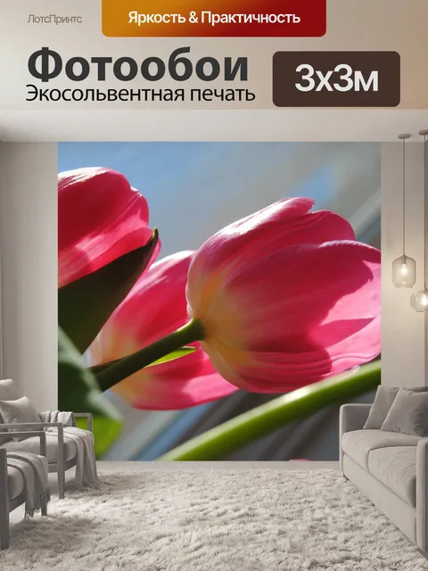 Фотообои Розовый тюльпан