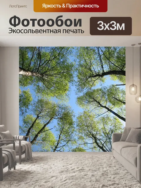 Фотообои Деревья