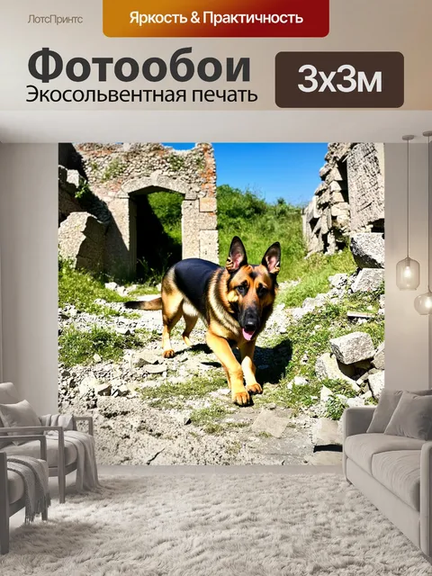 Фотообои описание: немецкая овчарка, исследующая старинные руины в солнечный день, окружённая обломками и зеленью