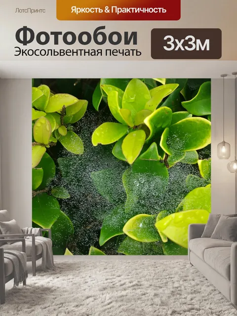 Фотообои Утренняя роса