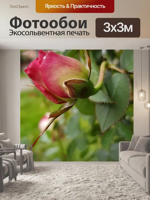 Фотообои Розовый