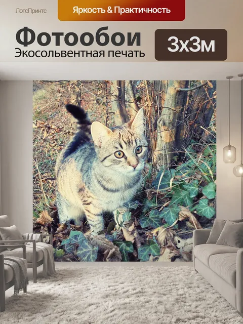 Фотообои Кот