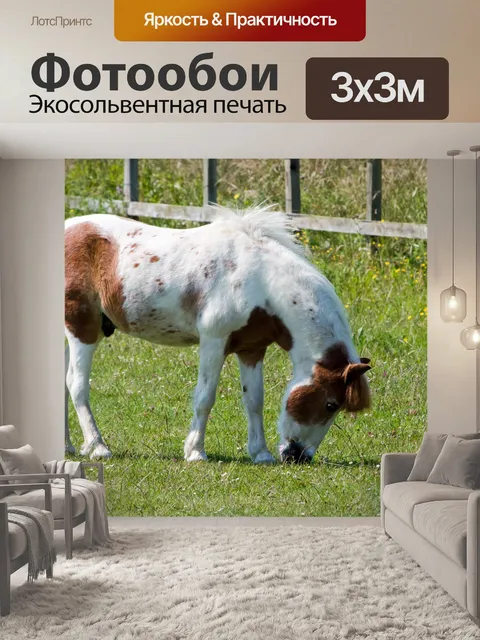 Фотообои Выпаса лошадей