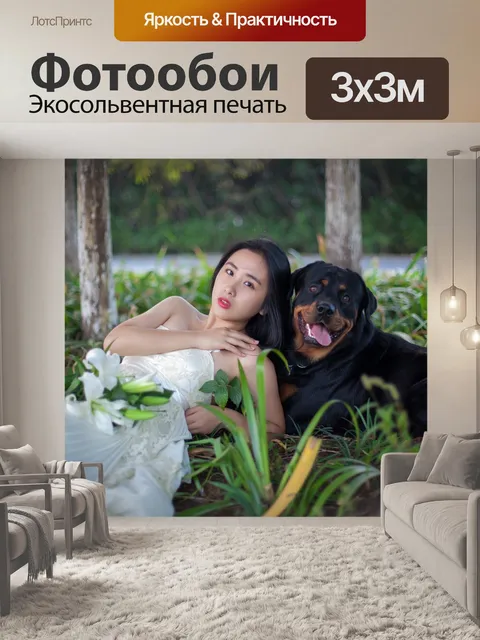 Фотообои Ротвейлер