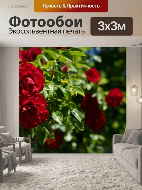 Фотообои Роза