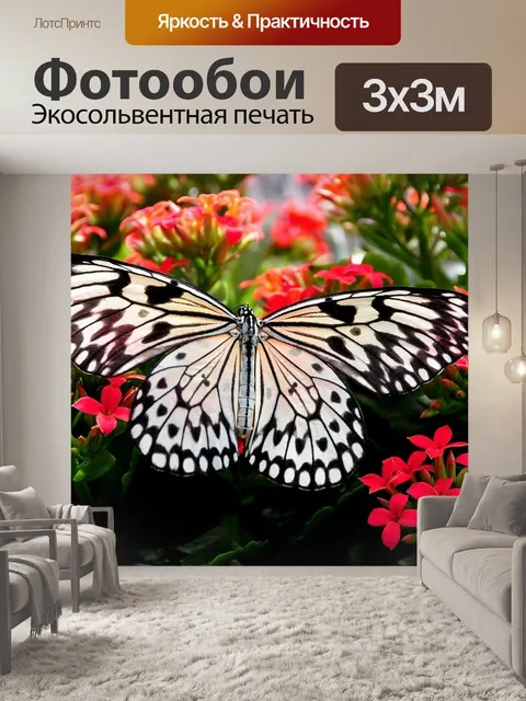 Фотообои Бабочка нимфа