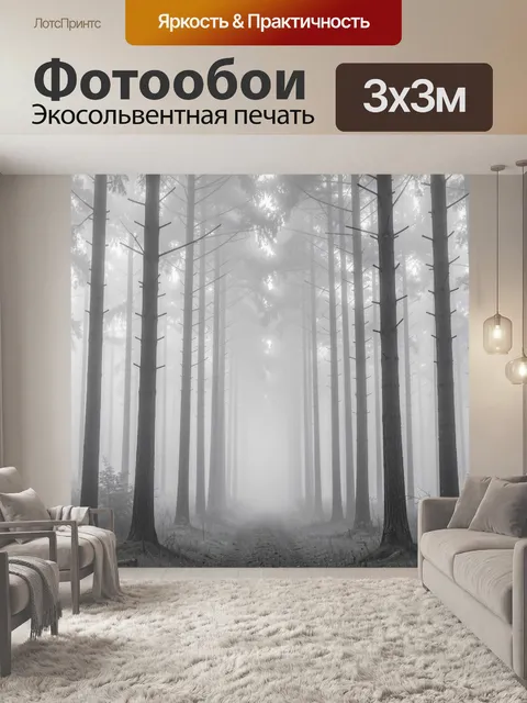 Фотообои Туманный лес с высокими деревьями