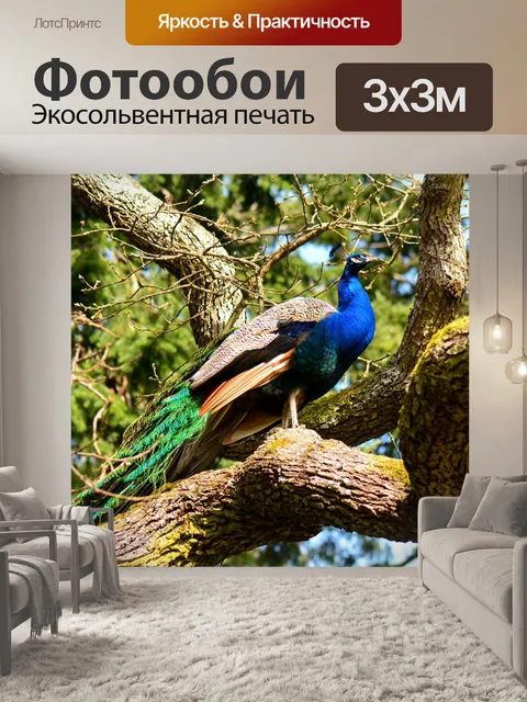 Фотообои Павлин